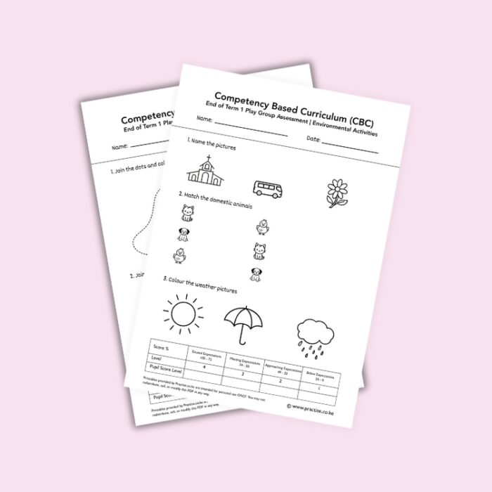 paly group set 1 term 1