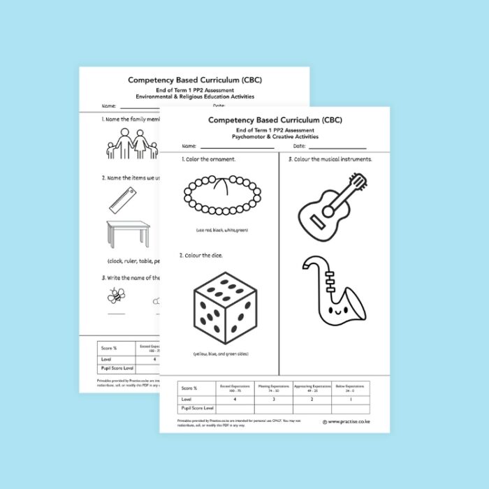 pp2 set 1 term 1 img