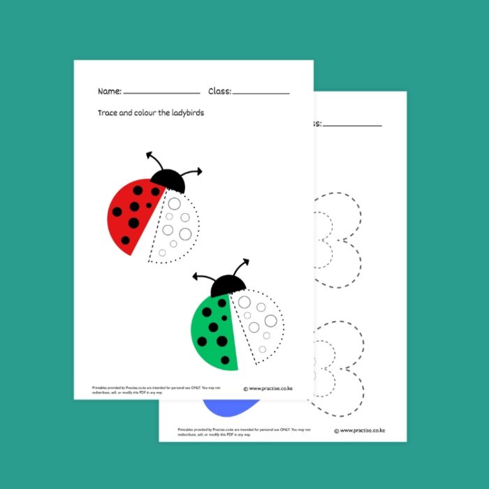 symmetry tracing -colouring insects